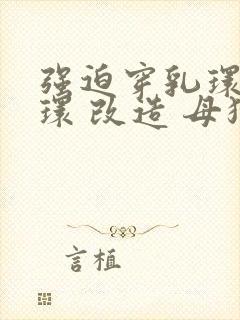 强迫穿乳环 阴环 改造 母狗 调教 小说