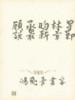 顾承昀林星禾小说最新章节免费阅读