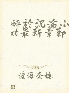 醉于沉沦小说txt最新章节