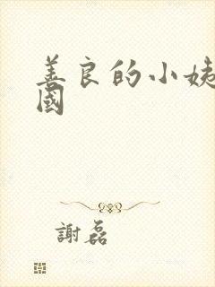 善良的小姨2韩国封面