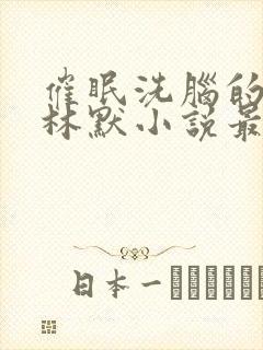 催眠洗脑的姐姐林默小说最新章节更