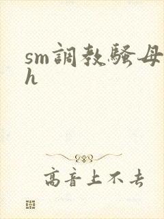 sm调教骚母狗h封面