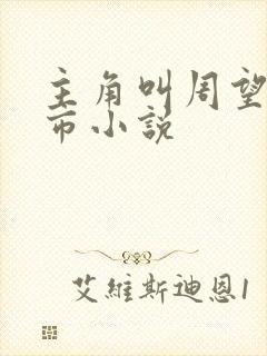 主角叫周望的都市小说