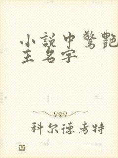 小说中惊艳的女主名字