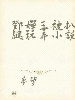 邓婵玉被扒开双腿玩弄小说封面