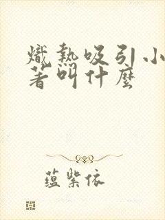 炽热吸引小说原著叫什么