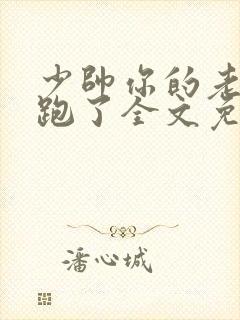 少帅你的老婆又跑了全文免费读