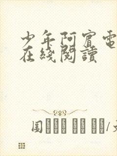 少年阿宾电子书在线阅读