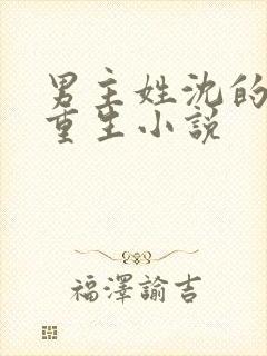 男主姓沈的所有重生小说