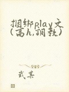 捆绑play文(高h,调教)封面