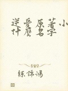 逆爱原著小说叫什么名字