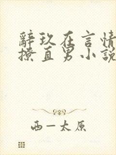 辞玖在言情文里撩直男小说