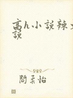 高h小说辣文小说封面