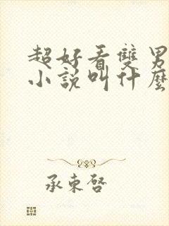 超好看双男主的小说叫什么