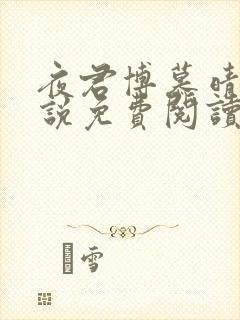 夜君博慕晴的小说免费阅读封面