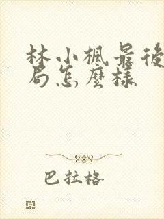 林小枫最后的结局怎么样