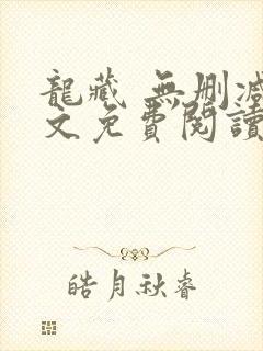 龙藏 无删减全文免费阅读封面