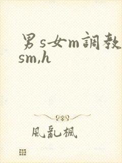 男s女m调教(sm,h