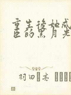 重生后她成了权臣的黑月光封面