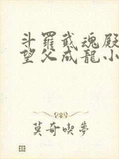 斗罗武魂殿圣子望父成龙小说