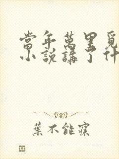 当年万里觅封侯小说讲了什么