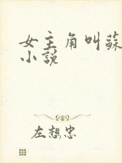 女主角叫苏瑜的小说