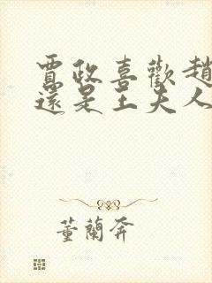 贾政喜欢赵姨娘还是王夫人封面