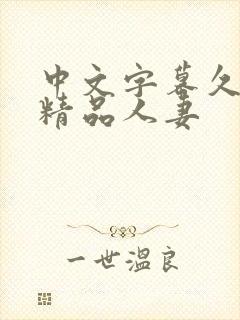 中文字幕久久久精品人妻封面