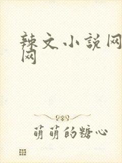 辣文小说网书包网封面