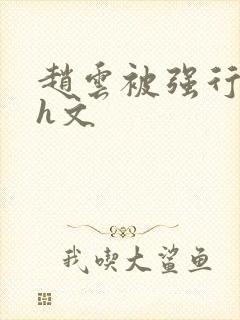 赵云被强行糟蹋h文