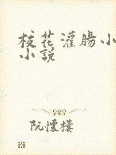 校花灌肠小屁眼小说封面