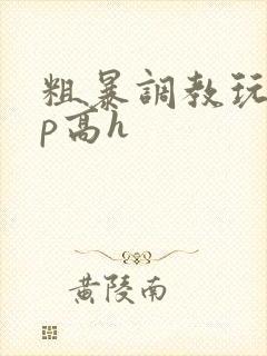 粗暴调教玩弄np高h