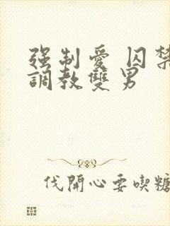 强制爱 囚禁 调教双男封面