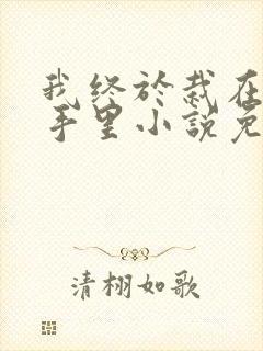 我终于栽在自己手里小说免费阅读