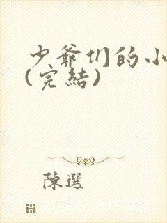 少爷们的小男仆(完结)