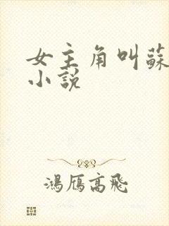 女主角叫苏月的小说