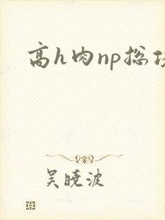 高h肉np总攻