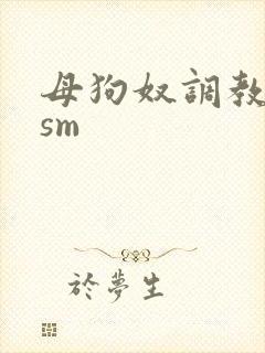 母狗奴调教虐玩sm