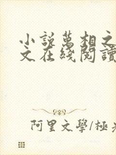 小说万相之王全文在线阅读封面