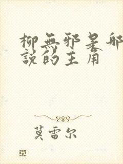 柳无邪是哪本小说的主角