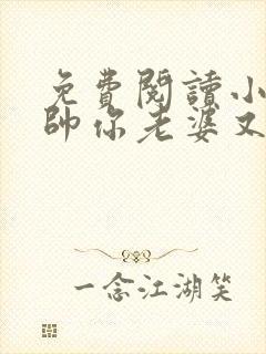 免费阅读小说少帅你老婆又跑了全文