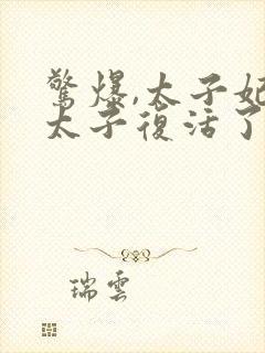 惊爆,太子妃把太子复活了txt