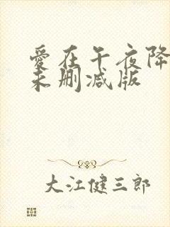 爱在午夜降临前未删减版