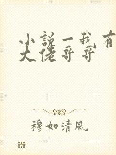 小说一我有七个大佬哥哥封面