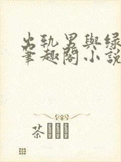 出轨男与绿帽女笔趣阁小说封面