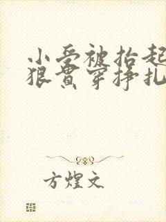 小受被抬起腿狠狠贯穿挣扎