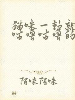 猫咪一动就发出咕噜咕噜的声音