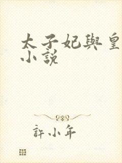 太子妃与皇上的小说