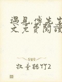 遇见,傅先生全文免费阅读封面