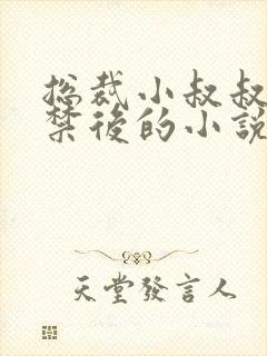 总裁小叔叔被囚禁后的小说封面